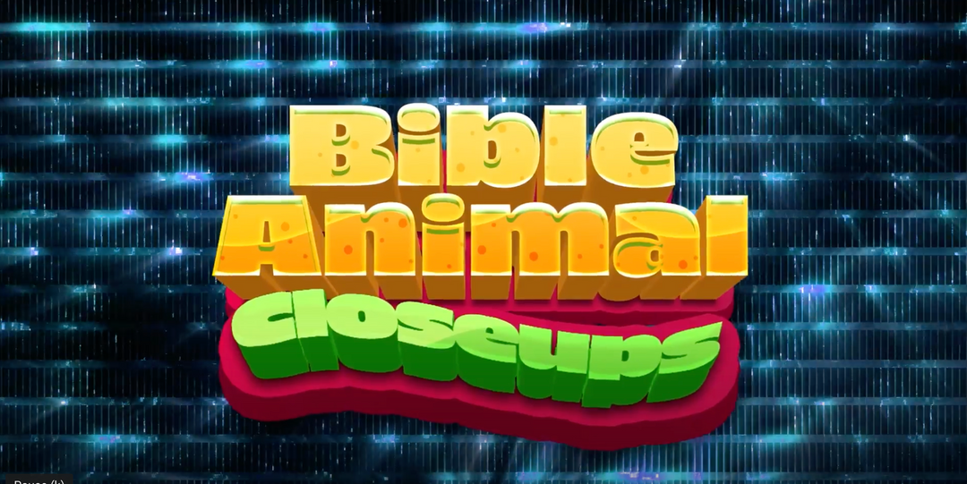 Bible Animals Closeups Game Video