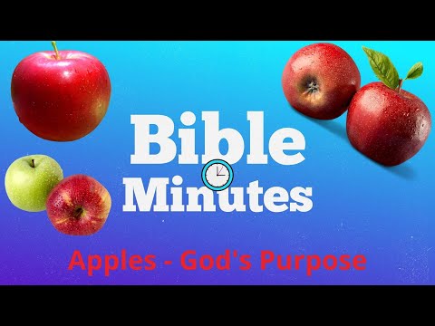Apple - God's Purpose
