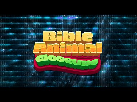 Bible Animals Closeups