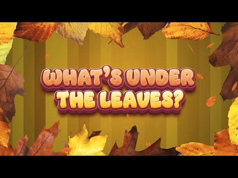 What's Under The Leaves