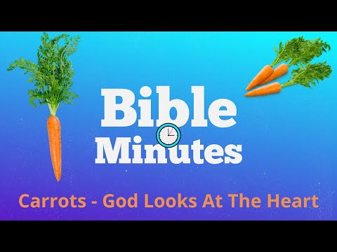 Twinkies & Carrots - God Looks At The Heart